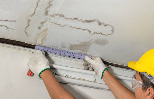 Affordable Ceiling Water Damage Repair solutions in Springfield, SD